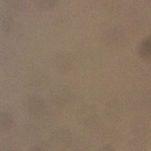 Meet your Posher, Sophie